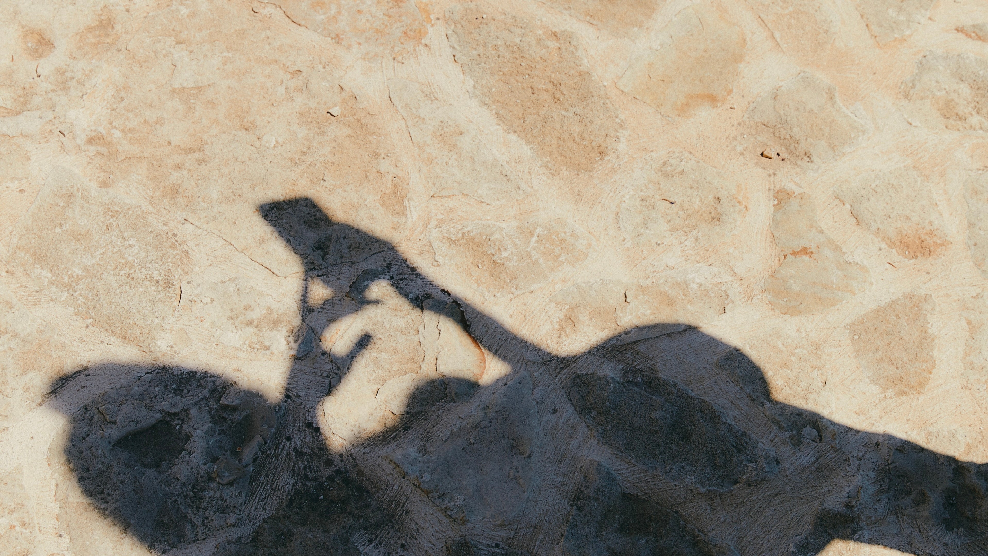 Digital Wellness: Balancing Tech with Intentional Living