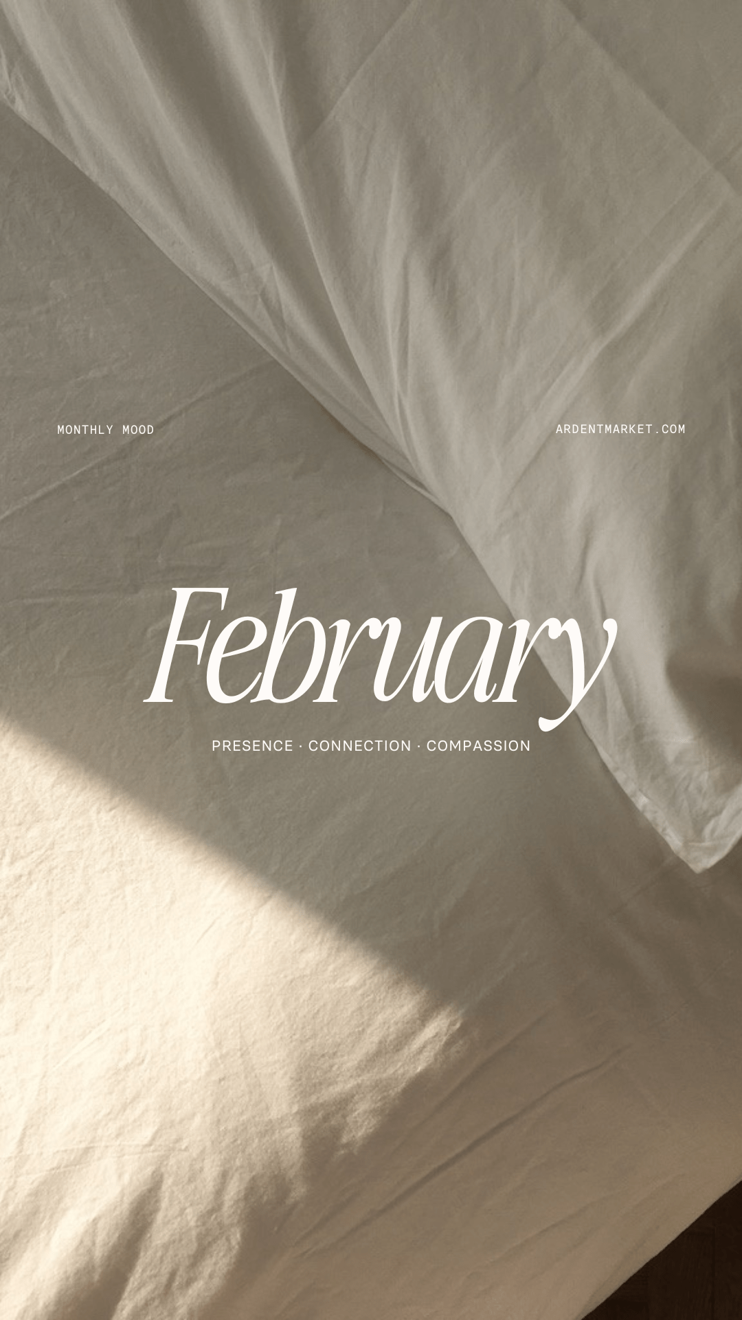 A Gentle Journey into February - Ardent Market