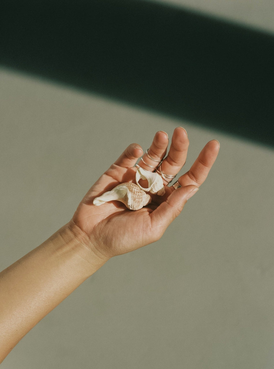 Cancer Season Guide - Ardent Market