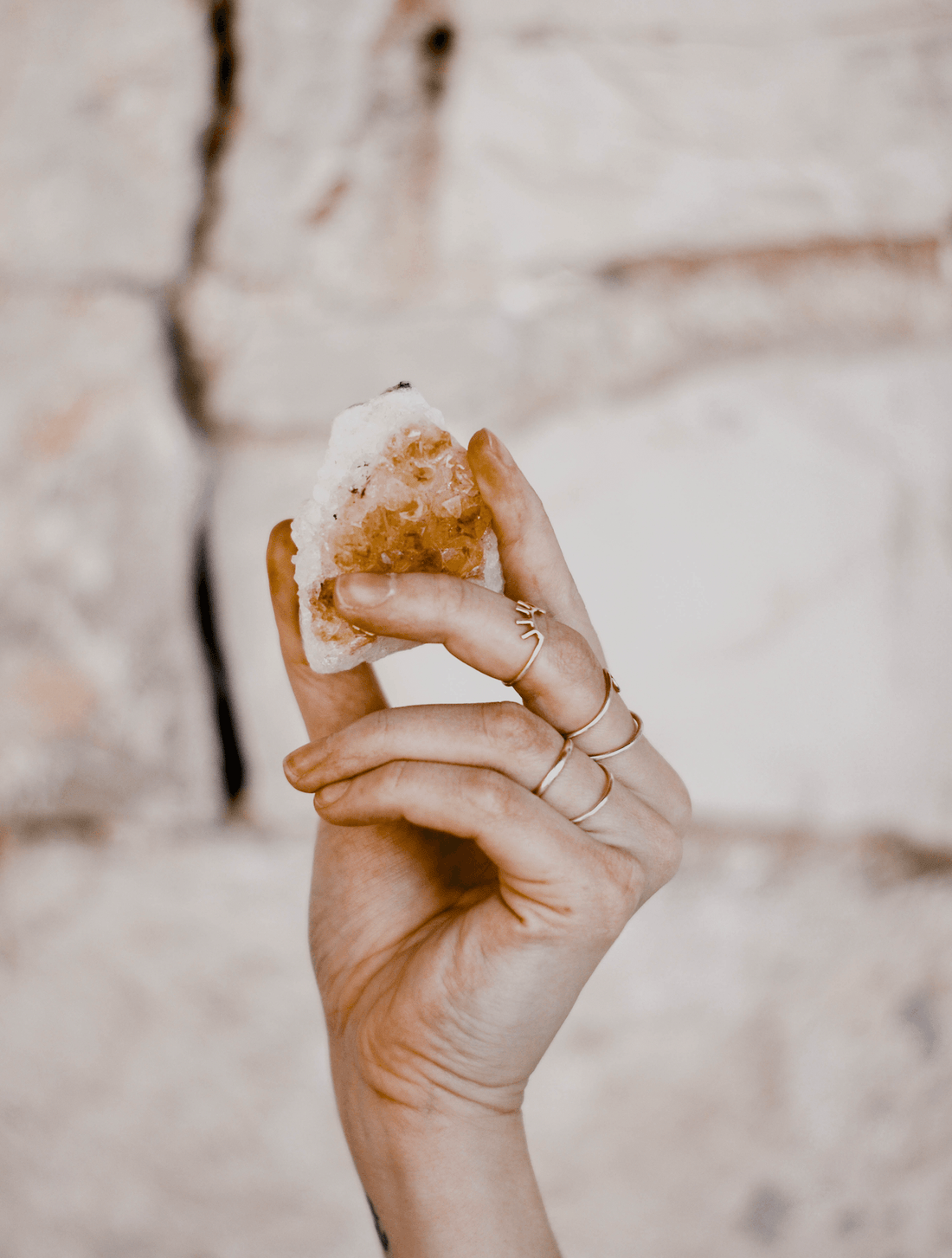 Leo Season Guide - Ardent Market