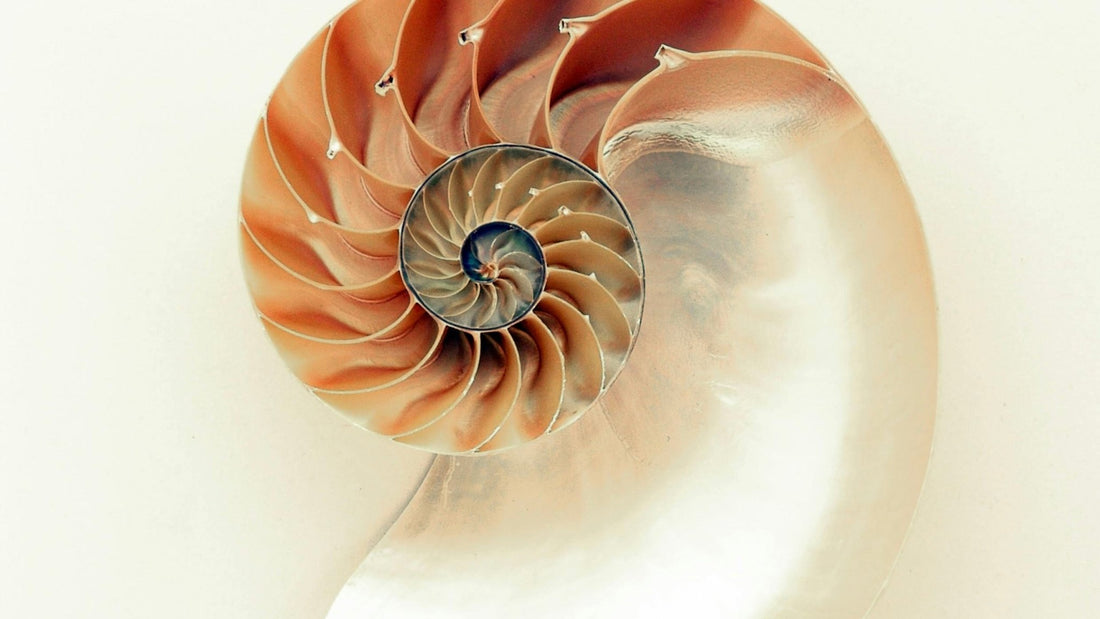 Navigating Overwhelm: A Blueprint for Decision-Making - Ardent Market