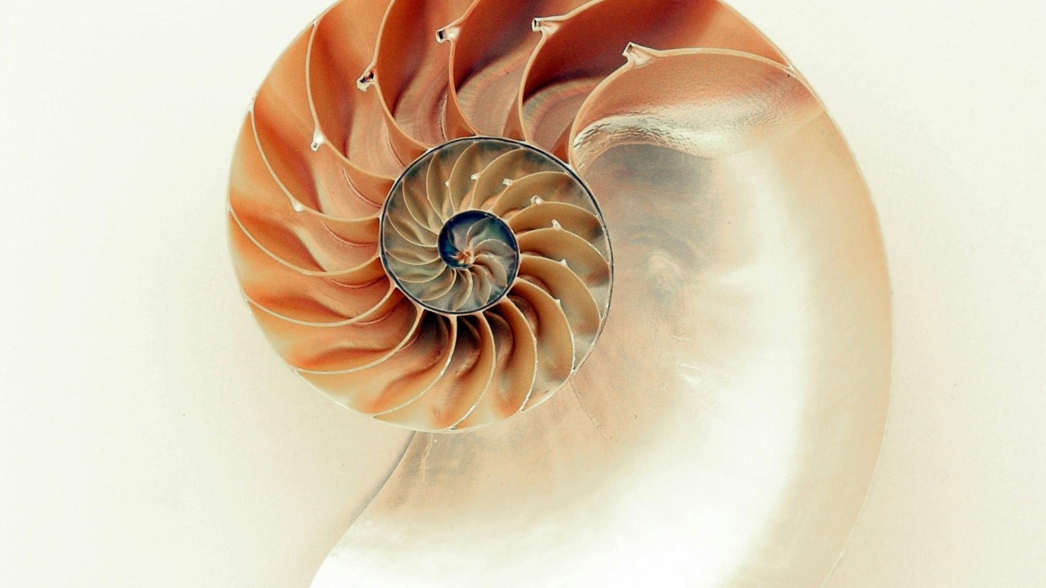 Navigating Overwhelm: A Blueprint for Decision-Making - Ardent Market