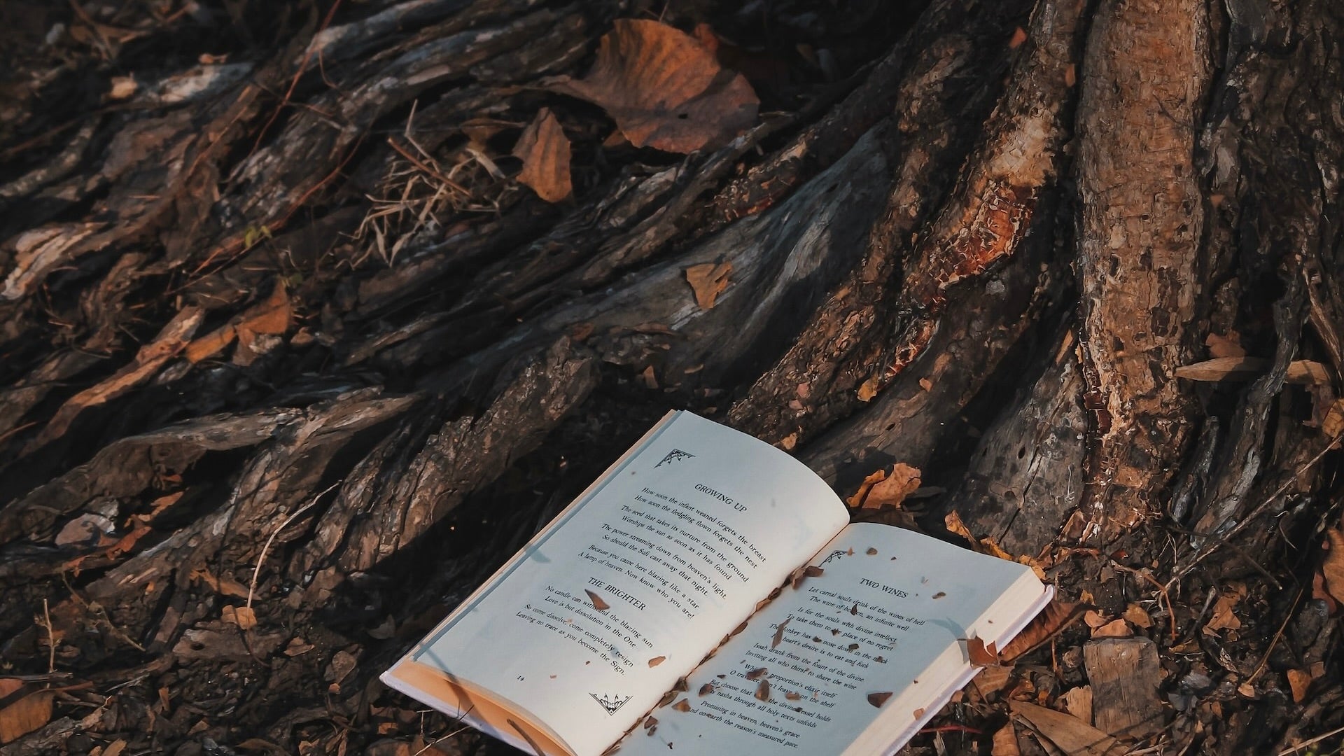 Paperback Playlist - Ardent Market