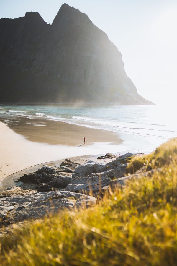 Sagittarius Season Guide - Ardent Market