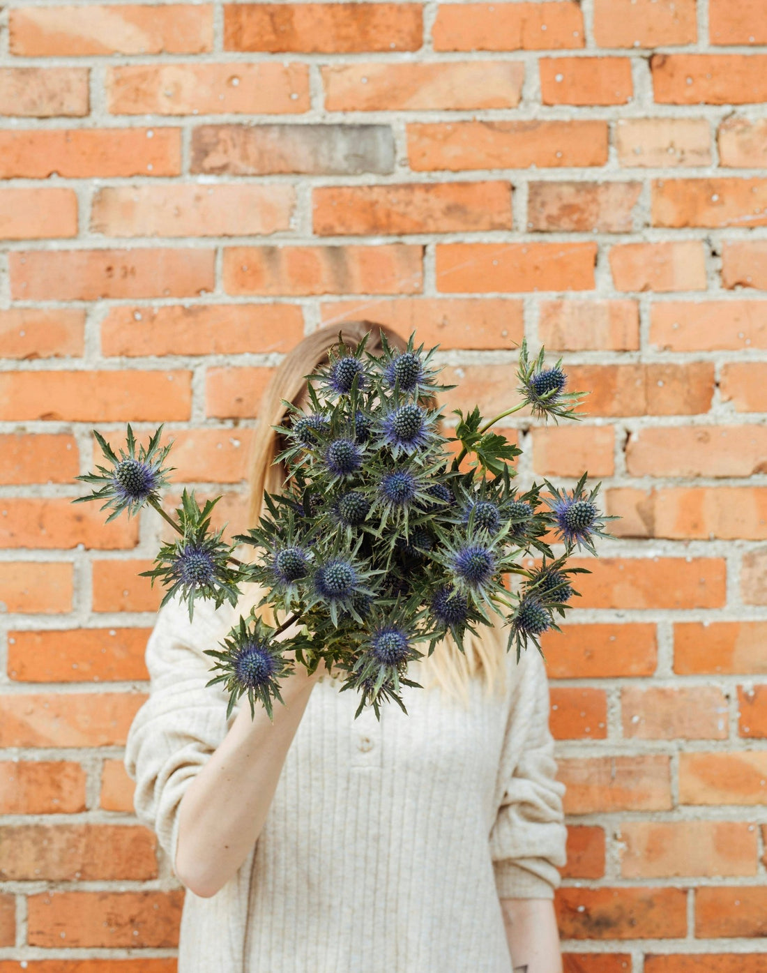 Scorpio Season Guide - Ardent Market