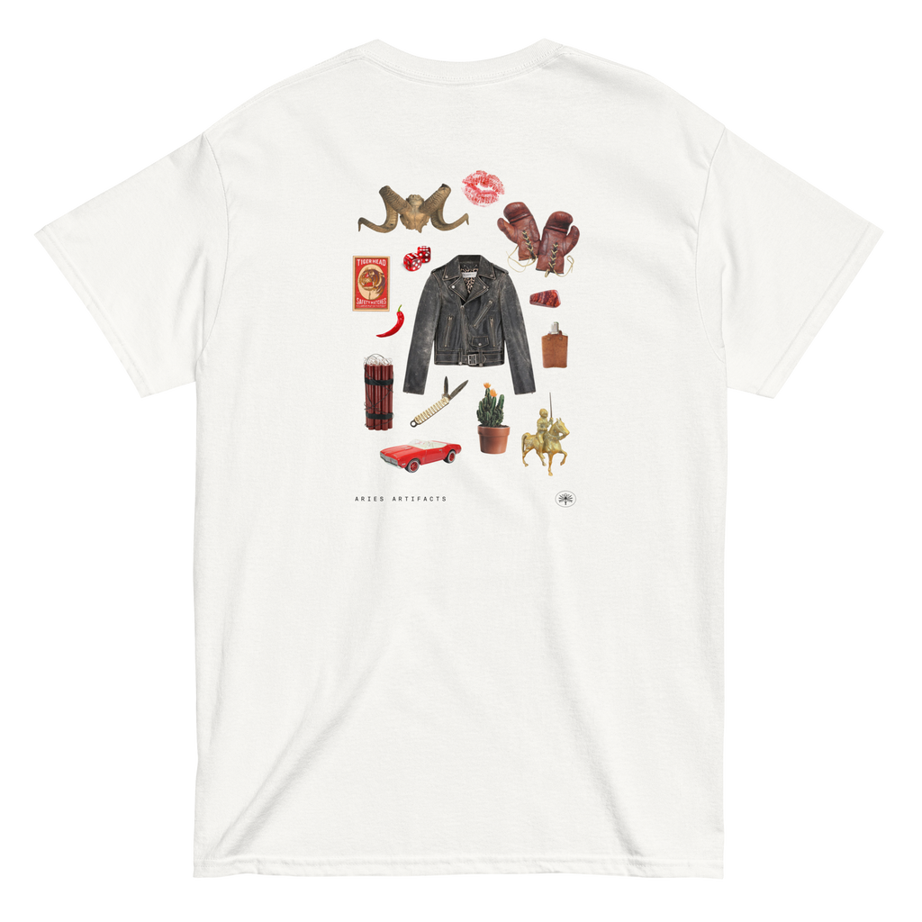 Aries Artifact T-Shirt