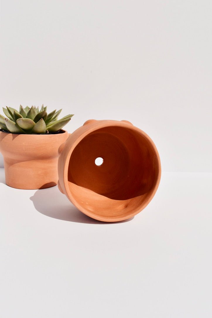 Dotted Terracotta Planter -Earthtones Pottery - Ardent Market