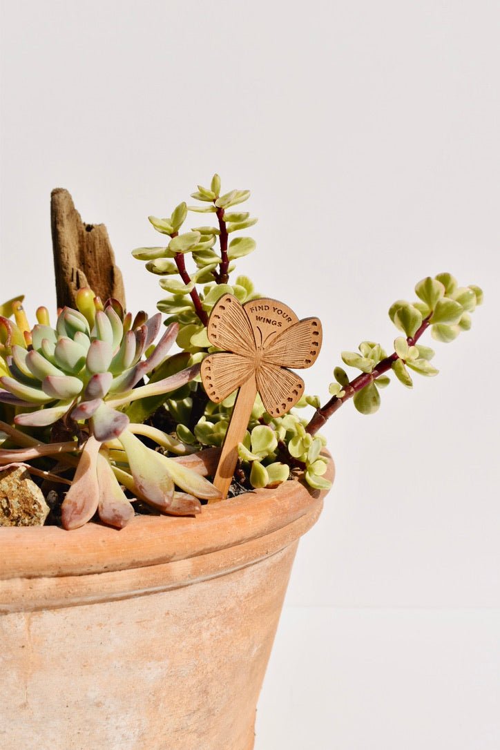 Find Your Wings Butterfly Wood Plant Pick -Hereafter - Ardent Market