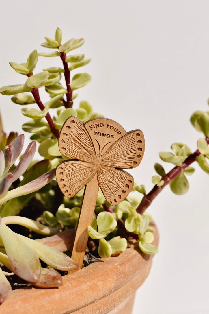 Find Your Wings Butterfly Wood Plant Pick