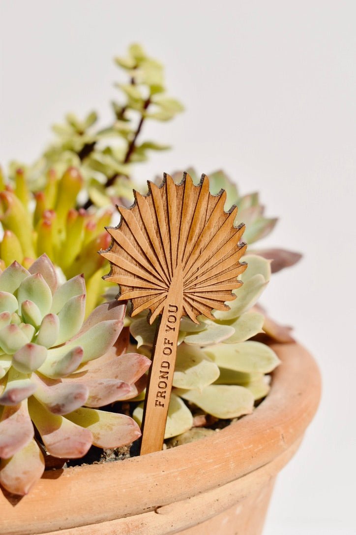 Frond of You Palm Wood Plant Pick -Hereafter - Ardent Market