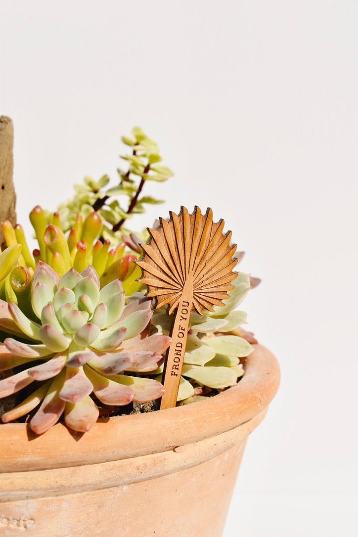 Frond of You Palm Wood Plant Pick -Hereafter - Ardent Market