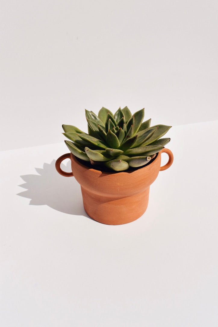 Handled Terracotta Planter -Earthtones Pottery - Ardent Market
