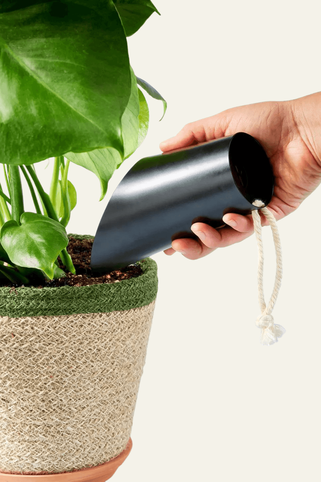 Matte Black Soil Scoop - Ardent Market - Modern Sprout