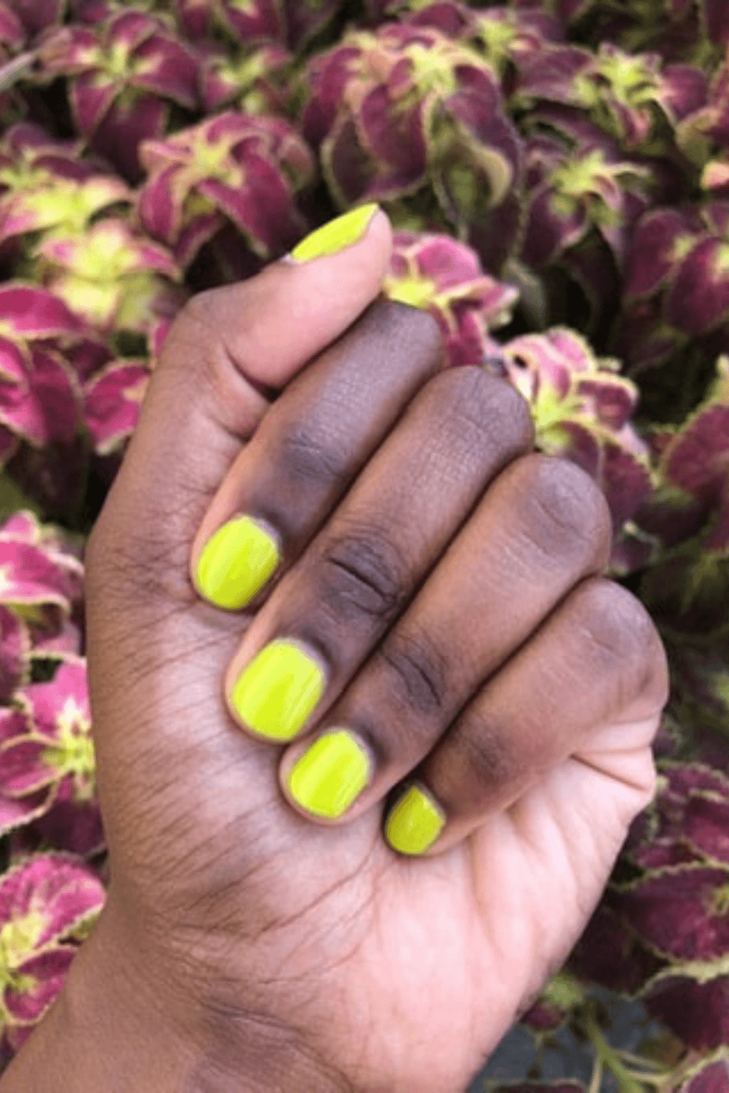 Spring Fling Vegan Nail Polish - Ardent Market - Palate Polish