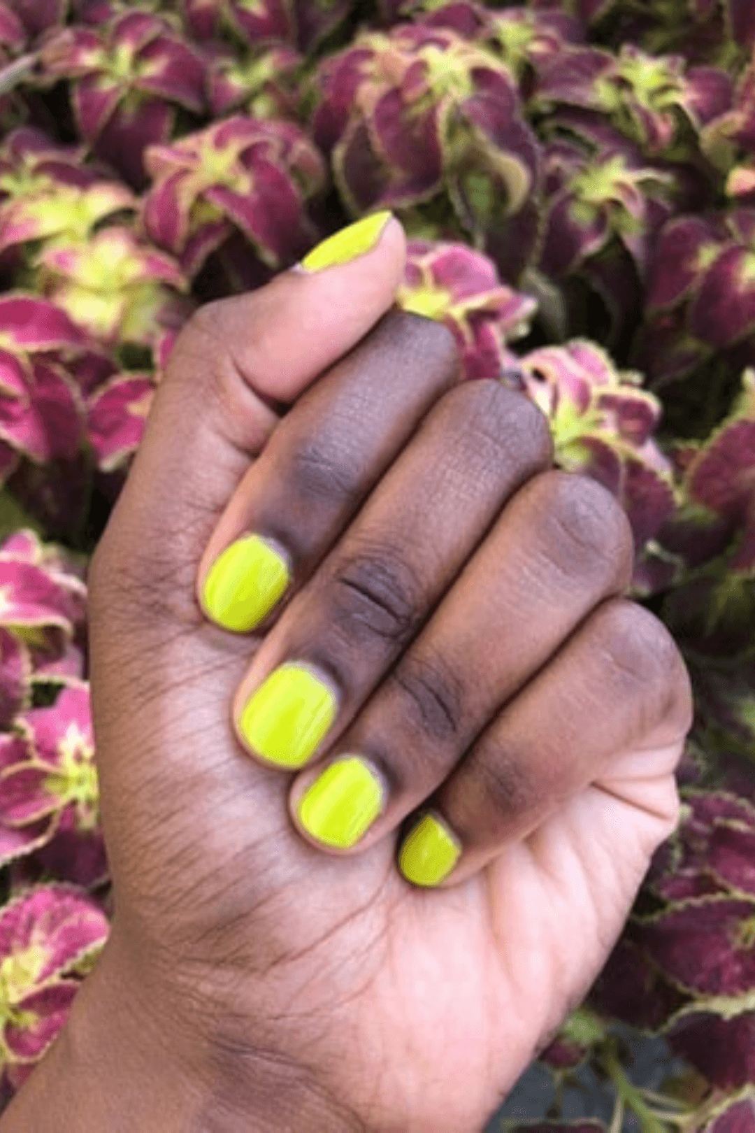 Spring Fling Vegan Nail Polish - Ardent Market - Palate Polish