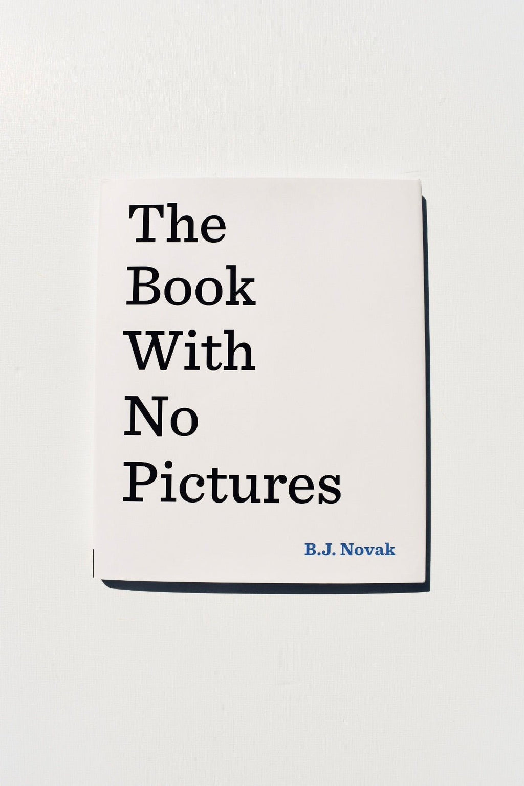 The Book with No Pictures - Ardent Market - B.J. Nonak