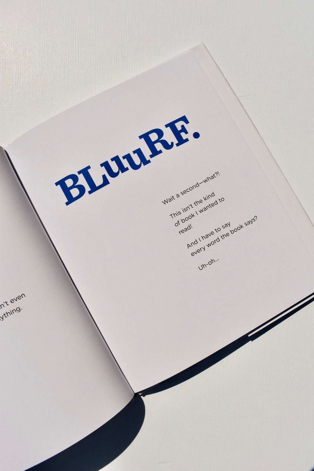 The Book with No Pictures - Ardent Market - B.J. Nonak