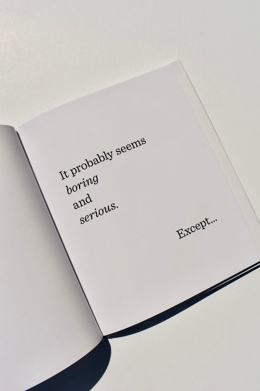 The Book with No Pictures - Ardent Market - B.J. Nonak